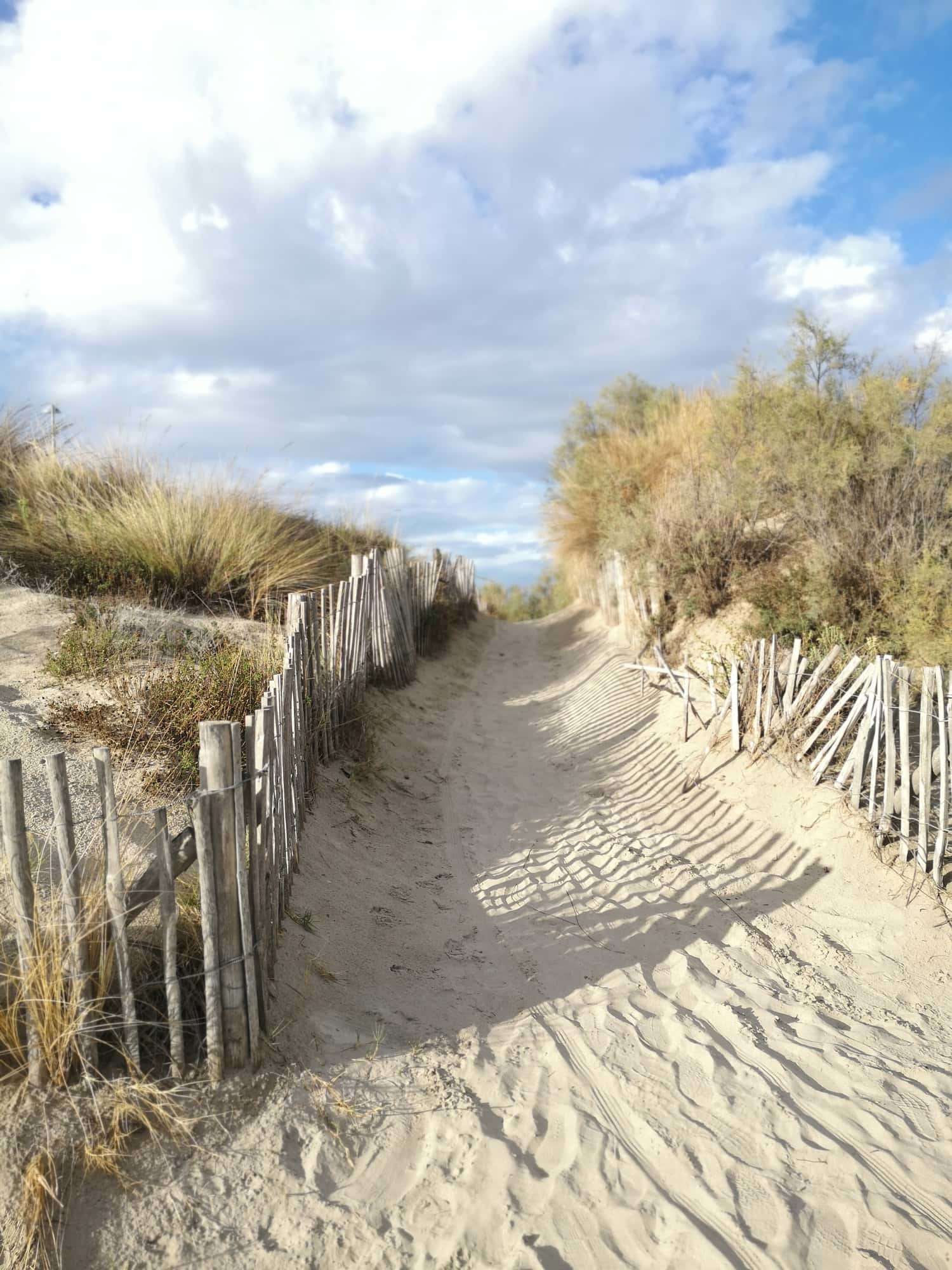 Balades autour de Montpellier : la Petite Camargue