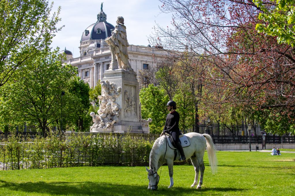 Assistez à un spectacle à l'École espagnole d'équitation