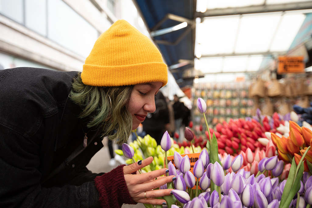 Marche aux fleurs