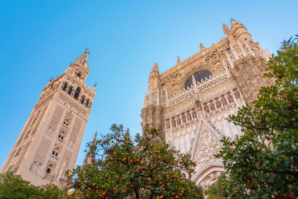 cathedrale