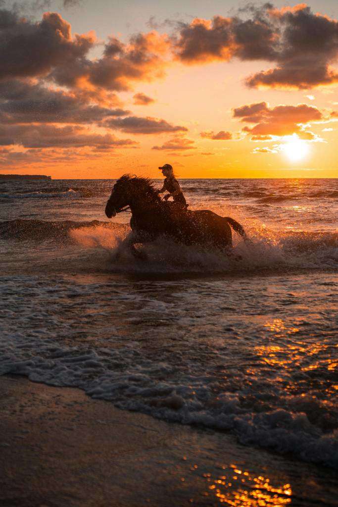 Escapade equestre au coucher du soleil