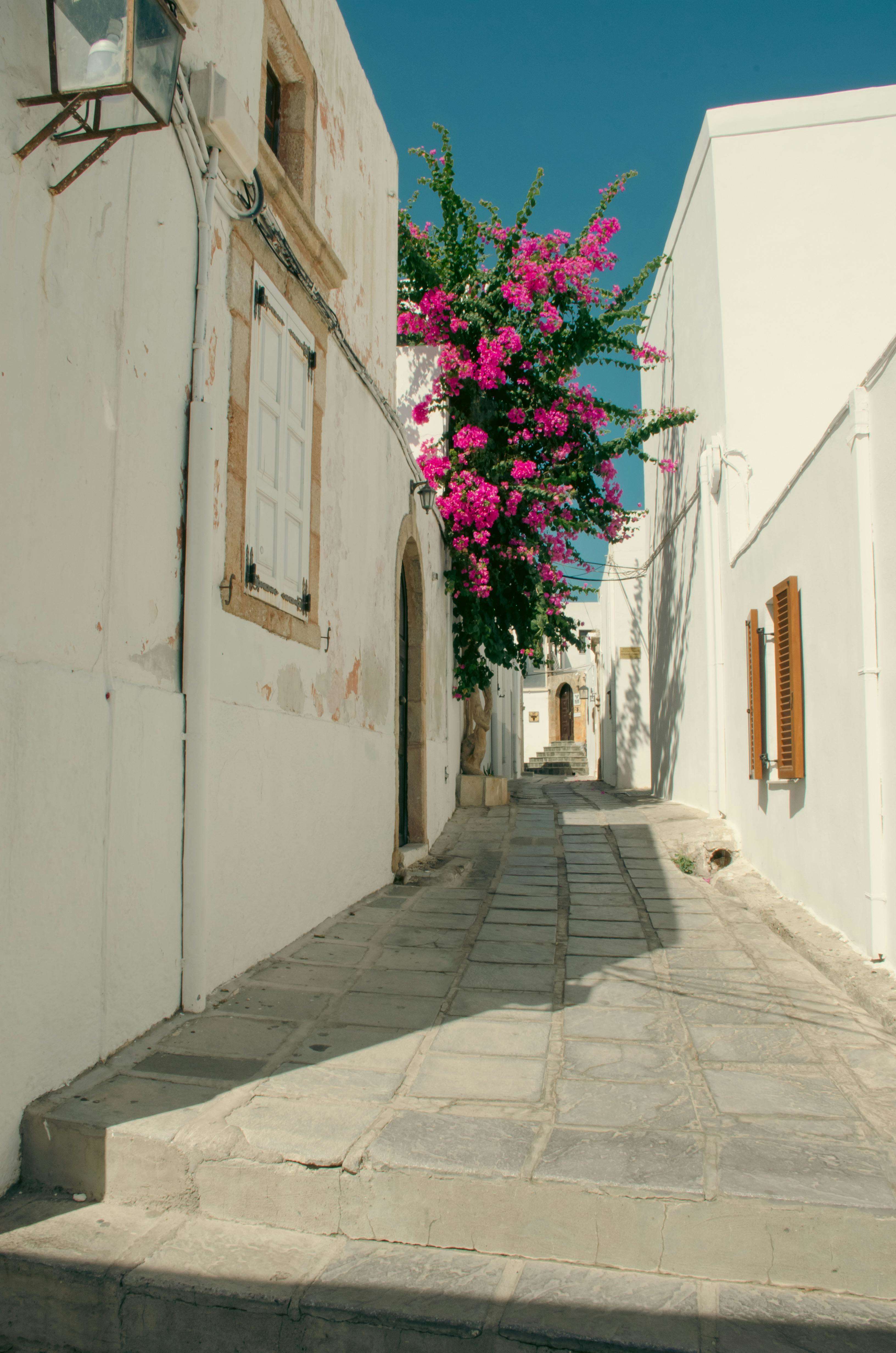 Rhodes