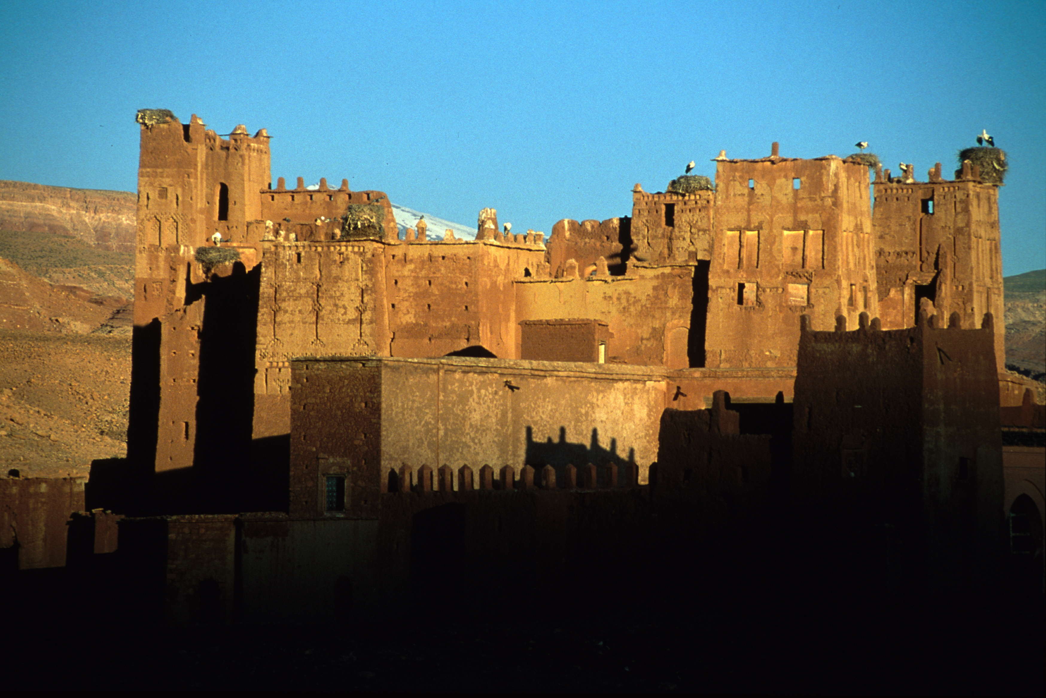 Explorez les kasbahs dOuarzazate