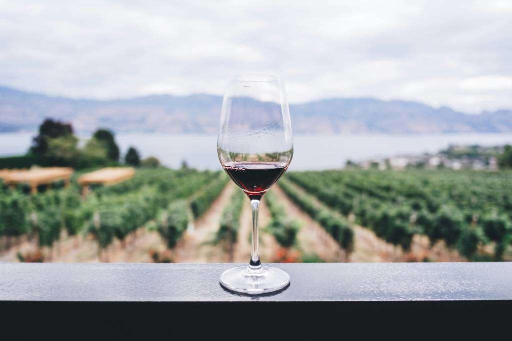 Plonger dans l'histoire du vin de Santorin au musée du Vin